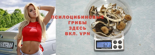 крисы Вяземский