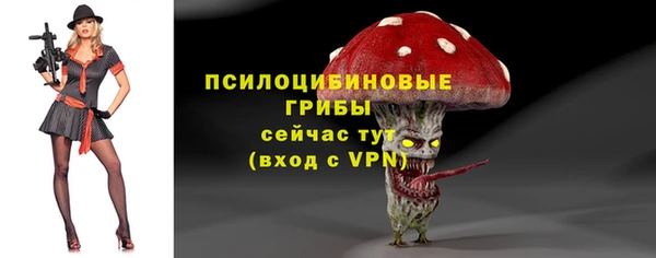 крисы Вяземский