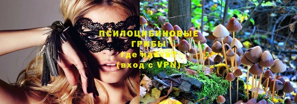 крисы Вяземский