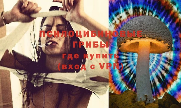 эйфоретик Вязники