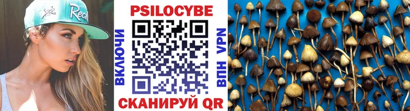 Галлюциногенные грибы Psilocybe  где продают наркотики  Десногорск 